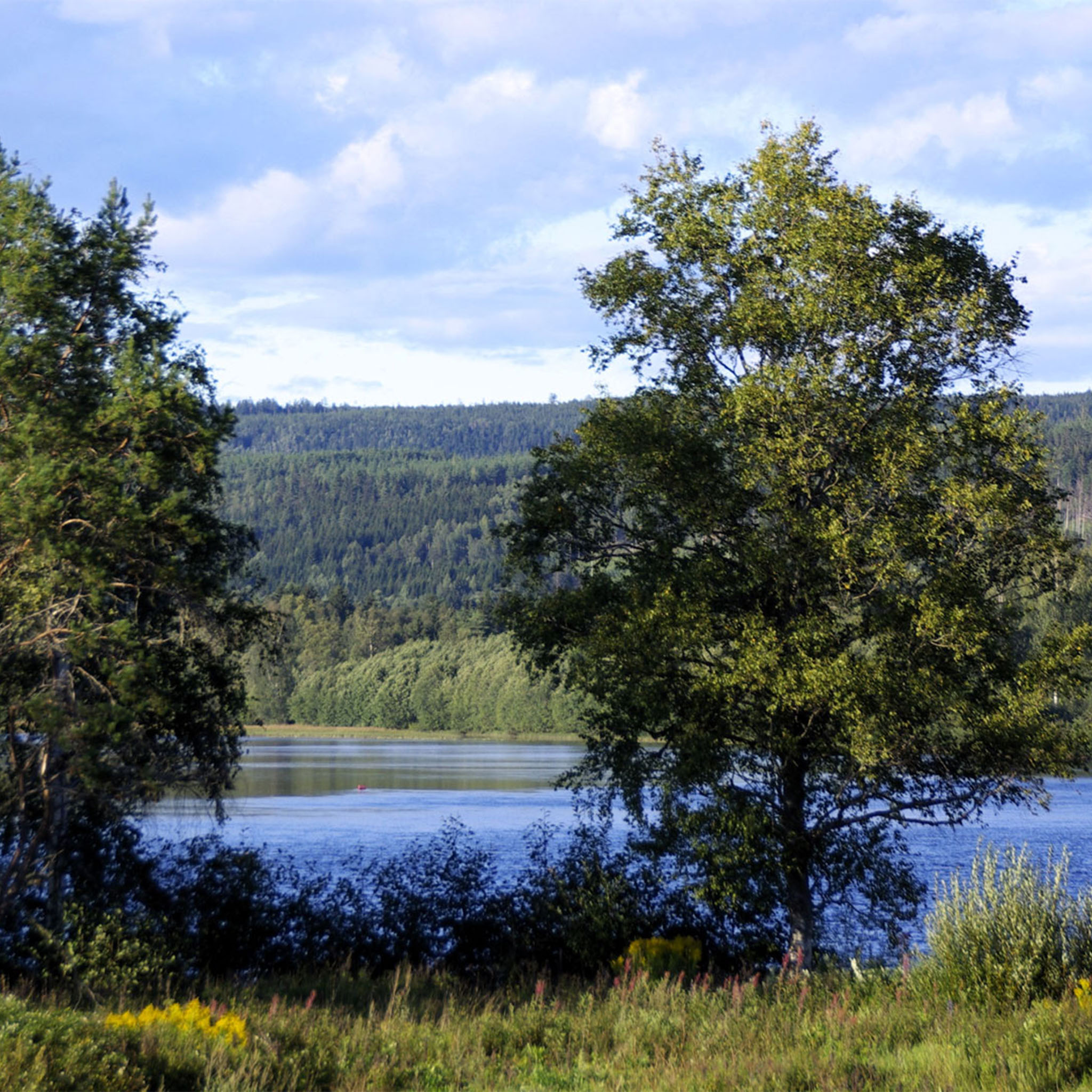 edeback-varmland-2